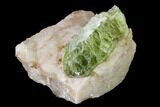 Yellow-Green Fluorapatite Crystal in Calcite - Ontario, Canada #137100-1